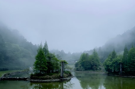 魔兽剑圣异界纵横 凭着智慧与而各方势力斗争