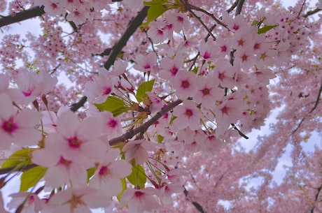 日月同光，一场属于你我的盛宴