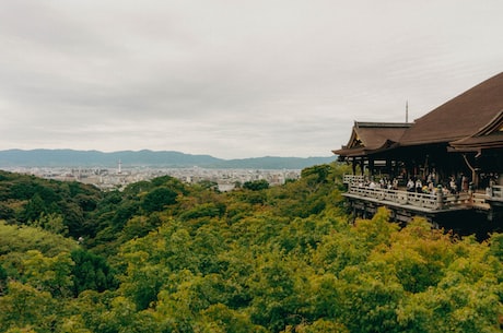 燕麦粥的做法 能够保证少量水蒸气及时出来