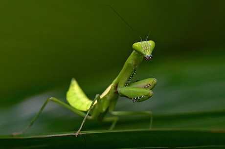 只有我懂他的柔情免费阅读全文 有bug温柔指出