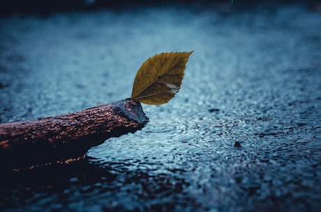 绩溪天气|周末大雨来袭，请做好防护措施！