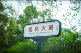 什么是湖北区号？想了解湖北区号报价，看这里！