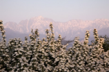 漳州东山岛(探索优美的漳州东山岛)