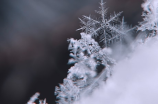 西岭雪山天气预告(【西岭雪山天气预告】周末来这里追寻冬日的浪漫)