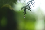 【郧西天气预告】周末多云转雷阵雨，气温适中